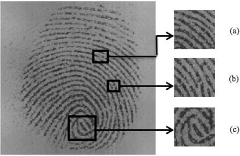 2022-7-27 · Search: Gemalto <strong>Fingerprinting</strong> Locations. . Gaps fingerprinting